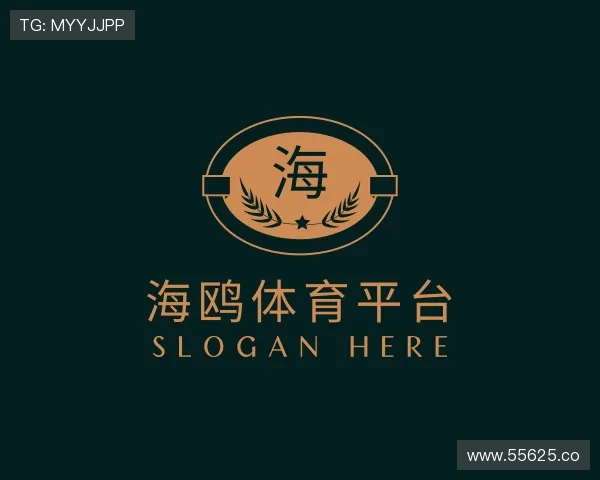 评述海鸥体育平台